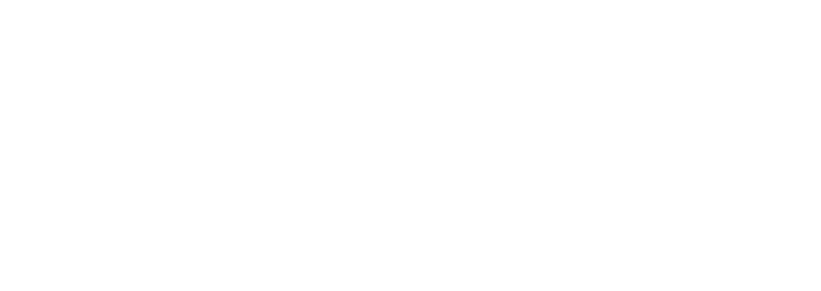 LOGO INFER-06